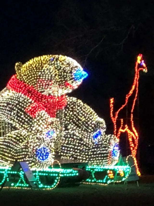 Best Christmas Lights to See in Wichita, KS, 2024