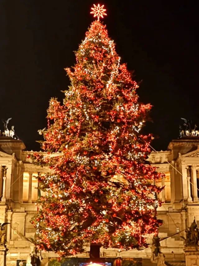 Christmas-in-Rome-webstories-2-poster