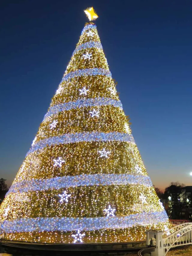 Best Christmas Holiday Lights in Denver, Colorado