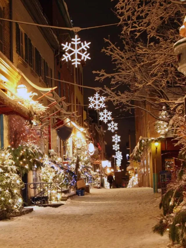 Best Christmas Lights to See in Grand Rapids, MI